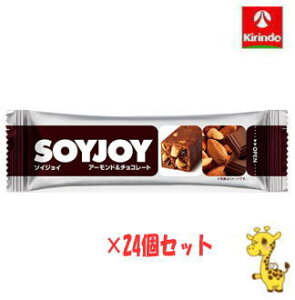 y24Zbgz ː \CWC A[h`R[g 30g×24 iyŗΏۏij