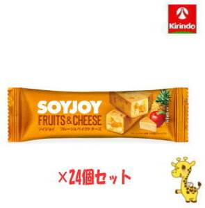 y24Zbgz ː \CWC t[cxCNh`[Y 30g×24i yŗΏۏij