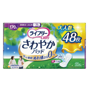 jE`[ Ct[ ₩pbh ԁEłSp 170cc 48
