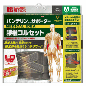  a oeR[ T|[^[ ŃRZbg 傫 L jp