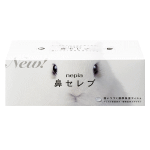 qlsA lsA @Zu eBV 400(200g) fUC͂Iт܂