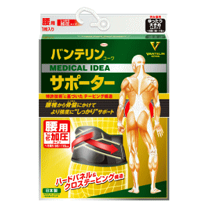  a oeR[T|[^[ p ^Cv 傫(́F80cm`100cm) jp