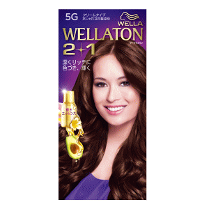 P&G EGg[2+1 N[^Cv 5G RȒĝ݂IF