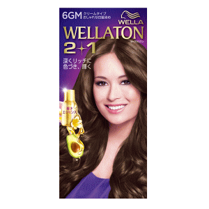 P&G EGg[2+1 N[^Cv 6GM ▾邢IVȕ͋C̃AbVuE