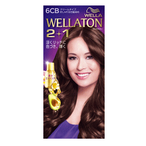 P&G EGg[2+1 N[^Cv 6CB ▾邢̂IF