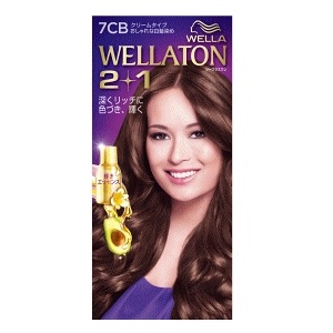 P&G EGg[2+1 N[^Cv 7CB 邢̂IF