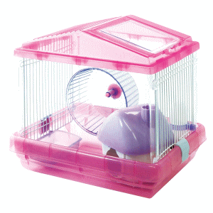  ACXI[}() nX^[P[W 1KāELX^Cv PHSC-311 NAsN×1 ̗lqǂAyώ@ł JS