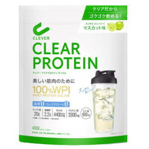  lC`[{ No[ NAveC }bX }XJbg 400gyyŗΏۏiz