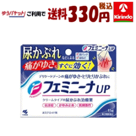 ゆうパケットで送料330円 【第2類医薬品】 小林製薬 フェミニーナUP 15g×1個 尿かぶれ治療薬 フェミニーナアップ