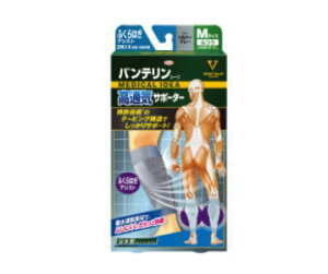 a oeR[ ʋCT|[^[ ӂ͂AVXg MTCY ӂ Vo[O[ 2iErErpj