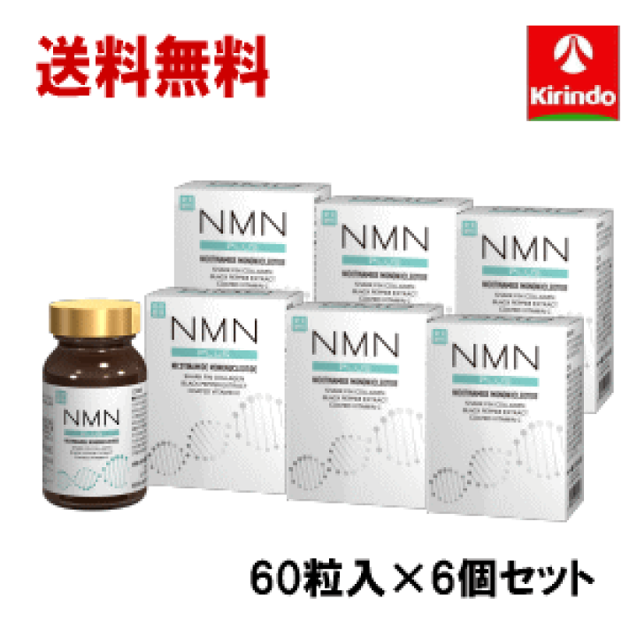 NMN ＋（PLUS）｜株式会社 健美舎