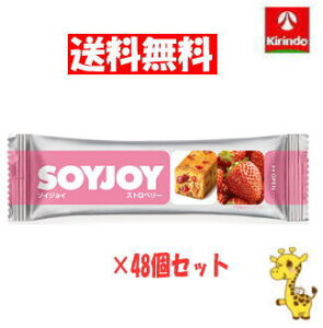 y 48Zbgz ː \CWC Xgx[ 30g×48 iyŗΏۏij