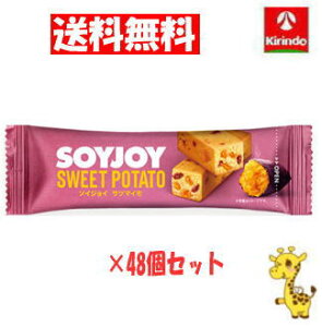 y 48Zbgz ː \CWC Tc}C 30g×48 iyŗΏۏij