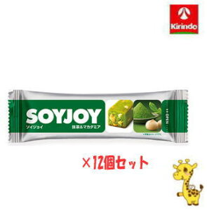 y12Zbgz ː \CWC }J_~A 32g×12i yŗΏۏij