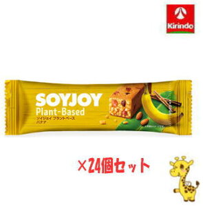 y24Zbgzː \CWC vgx[X oii 25g×24 iyŗΏۏij