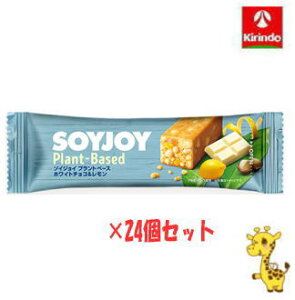 y24Zbgzː \CWC vgx[X zCg`R 25g×24 iyŗΏۏij