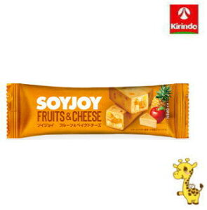 ː \CWC t[cxCNh`[Y 30g×1 yŗΏۏi