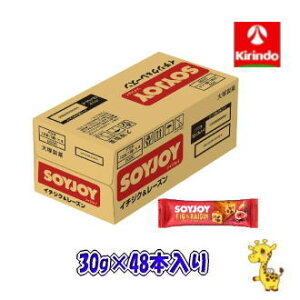 y 48Zbgz ː \CWC C`WN[Y 30g×48i yŗΏۏij