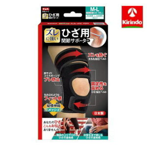 RY R Ђp֐߃T|[^[ M-L