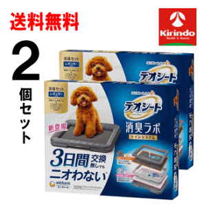  2Zbg jE`[ybgPA fIV[g L{ gCVXe {̃Zbg M[TCY×2Zbg p