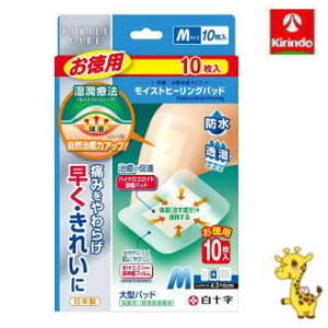 \ FCCXgq[Opbh MTCY p 10