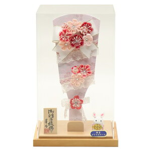 Hq P[X  9 ܂ݍ׍H  32cm ANP[X (2024-ys217) P[X  ߋ j