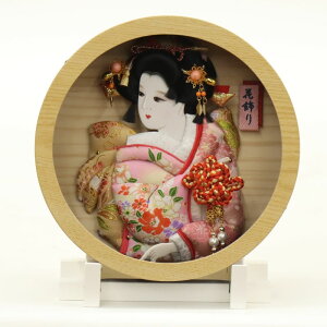 Hq Ǌ| ₩ ~` 22cm X^ht AN ~^P[X (2024-tst066) GUHq z 