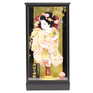 Hq P[X ܂Ȃ 10 ђn 43.5cm ANP[X h P[X RpNg  ߋ j