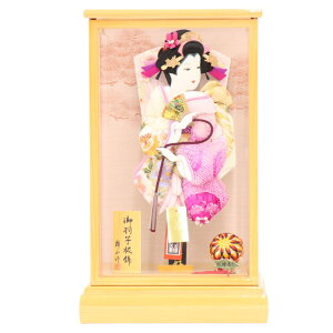 Hq P[X ق 10 hJlGڂ 44cm OP[X sN P[X ؃P[X RpNg  ߋ j