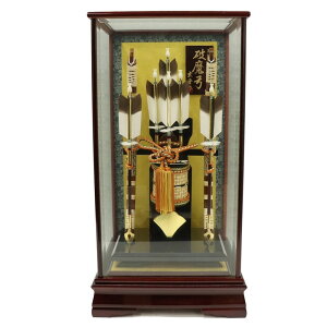 j| P[X  15 65cm ԗhP[X (2025-ts095) P[X  {̓`