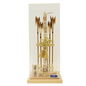 j| P[X Il 10 38.5cm NA ANP[X (2025-ts130) P[X  {̓`