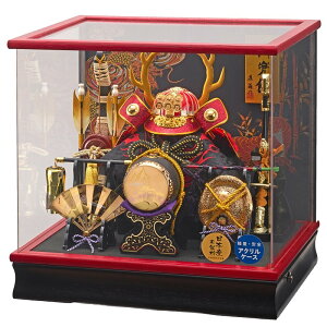 ܌l` P[X芕  ^cK̊ 38cm ANP[X  IS[ Ot 195-790 [߂̐ߋ qǂ̓