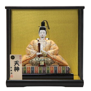 V_ll` P[X ؖڍ  ^ 34.6cm (21hoka1006) EFij GXq w̐_l iF