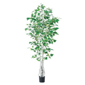 人工観葉植物 バーチツリー （ポット付き） グリーン 高さ155cm （P284-a50868) （代引き不可） インテリアグリーン フェイクグリーン