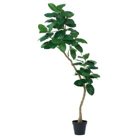 人工観葉植物 ゴムの木 （ポット付き） グリーン 高さ210cm （P275-a51118) （代引き不可） インテリアグリーン フェイクグリーン