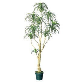 人工観葉植物 ユッカツリー （ポット付き） グリーン 高さ170cm （P295-a56004) （代引き不可） インテリアグリーン フェイクグリーン