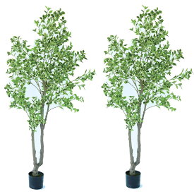 人工観葉植物 斑入りベンジャミン ポット 210（2個入り）992670 庭木ポット （代引き不可） インテリア フェイクグリーン 造花 WREATH （p7）