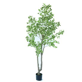 人工観葉植物 斑入りベンジャミン ポット 210（1個入り）992671 庭木ポット （代引き不可） インテリア フェイクグリーン 造花 WREATH （p7）
