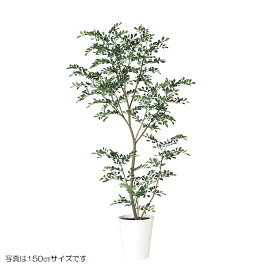 人工観葉植物 トネリコ FST 120cm 高さ120cm （P208-dt91886) （代引き不可） インテリアグリーン フェイクグリーン