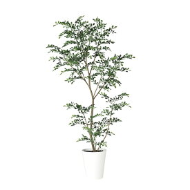 人工観葉植物 トネリコ FST 150cm 高さ150cm （P208-dt91887) （代引き不可） インテリアグリーン フェイクグリーン