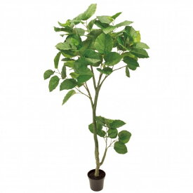 人工観葉植物 ウンベラータ 高さ180cm （P198-fg16500) （代引き不可） インテリアグリーン フェイクグリーン