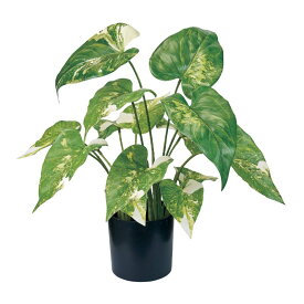 人工観葉植物 シンゴニューム斑入り ポット 高さ37cm （P191-fg175) （代引き不可） 鉢カバー ディスプレイ