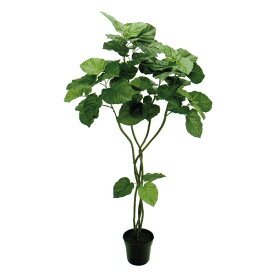 人工観葉植物 ウンベラータツイスト 5F 高さ150cm （P198-fg5226) （代引き不可） インテリアグリーン フェイクグリーン