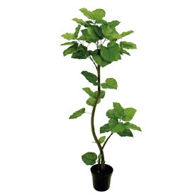 人工観葉植物 ウンベラータスパイラル 5F 光触媒加工 高さ150cm （P198-zv5229) （代引き不可） インテリアグリーン フェイクグリーン