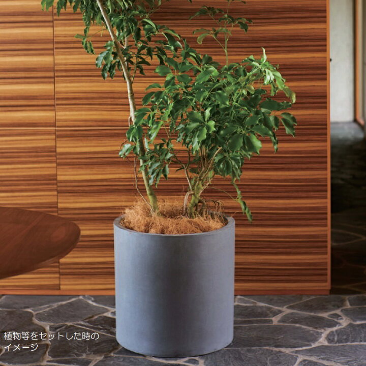 楽天市場】花・観葉植物用ポット マグナス シリンダー L 51/C グレー