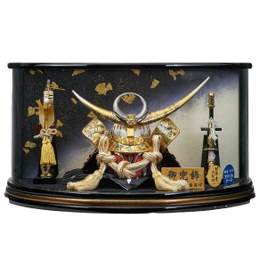 ܌l` P[X  E 㐙M̊ ی^ANP[X 51cm h fn2-5 퍑 ܌l`P[X