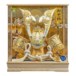 ܌l` P[X p  L^̊ ANP[X 48cm O fn3-1 ܌l`P[X