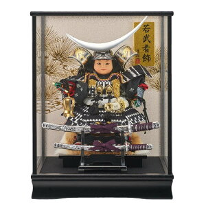 ܌l` P[X qǂ叫 ɒB  Z叫 KXP[X 38cm h fn4-9 퍑 ܌l`P[X