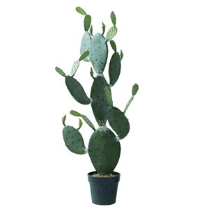 lHϗtA E`T{e |bg 117i1j991130 T{e rOAxeTCY CeA tFCNO[  CACTUS ip114j