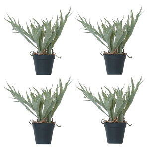 lHϗtA rJNV_ |bg 32i4j991490 V_A A^̏uTCY CeA tFCNO[  POT INDOOR ip83j